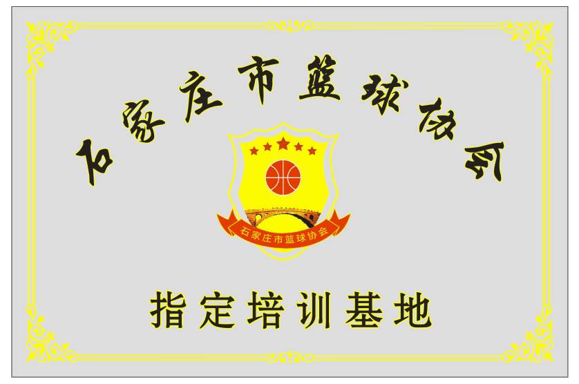 哪里有针对业余爱好者的篮球训练策略_1